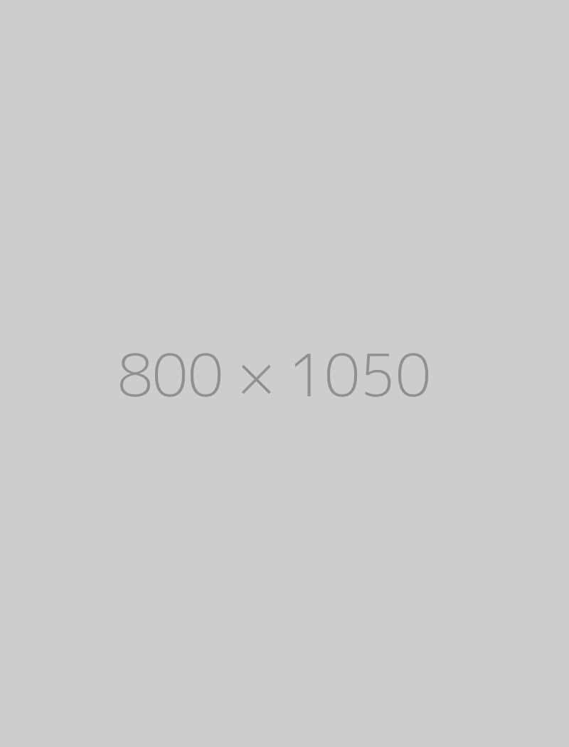 hongo 800x1050-ph - El Gourmext de Casa Chino